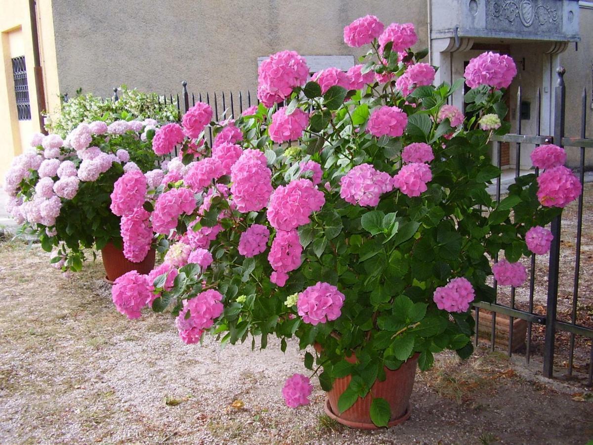 Agriturismo Dea Valfabbrica Zewnętrze zdjęcie