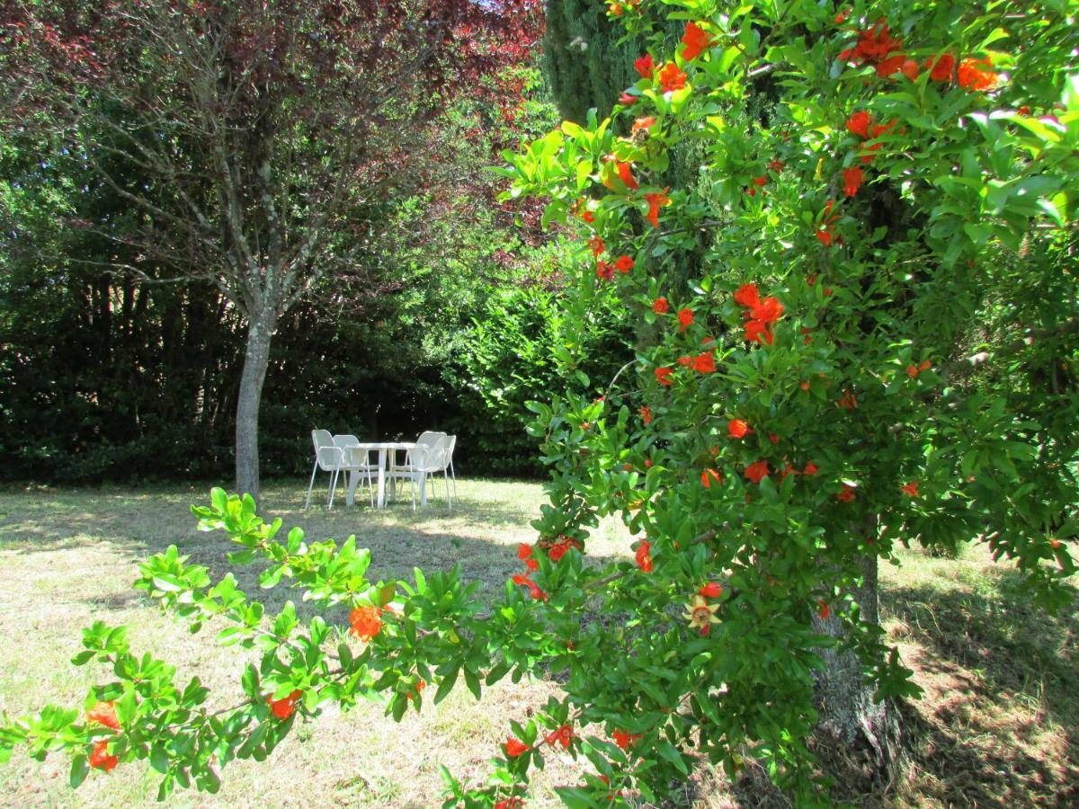 Agriturismo Dea Valfabbrica Zewnętrze zdjęcie